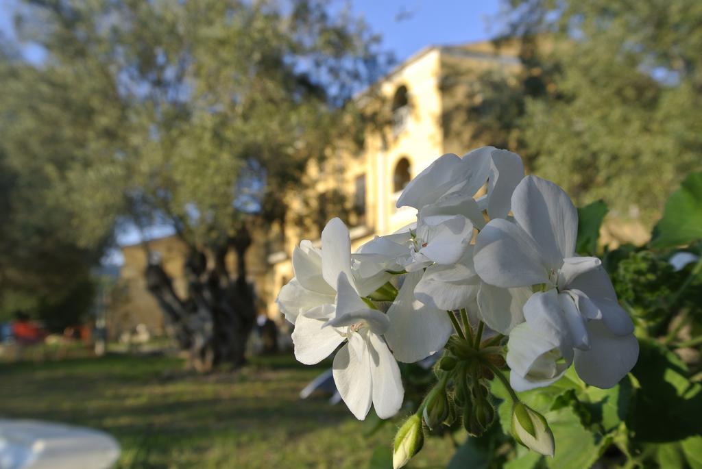Maset Del Garraf Guest House Olesa de Bonesvalls Exterior foto